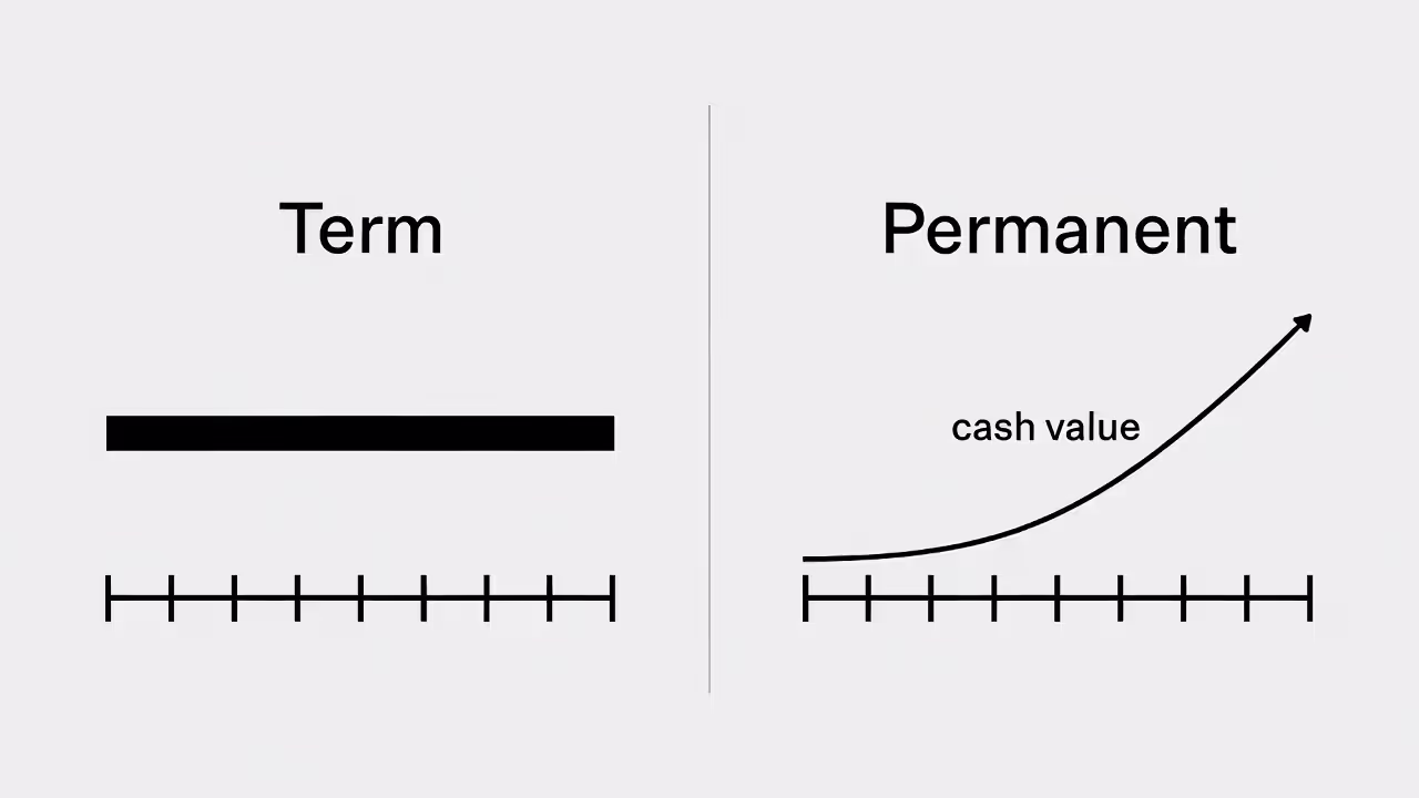 Graphic comparing term life (fixed period, level premium) versus permanent life (lifetime coverage with cash value growth).